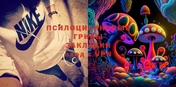 эйфоретик Алзамай