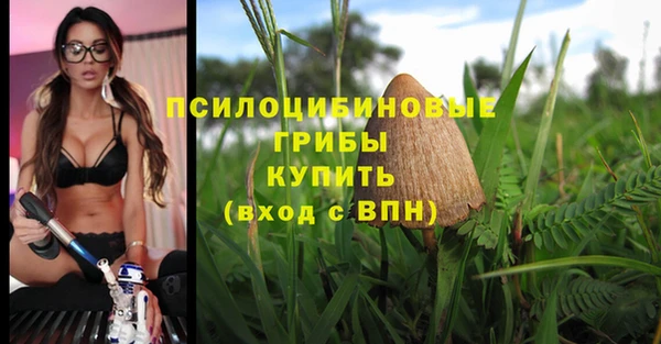 марки nbome Алексеевка