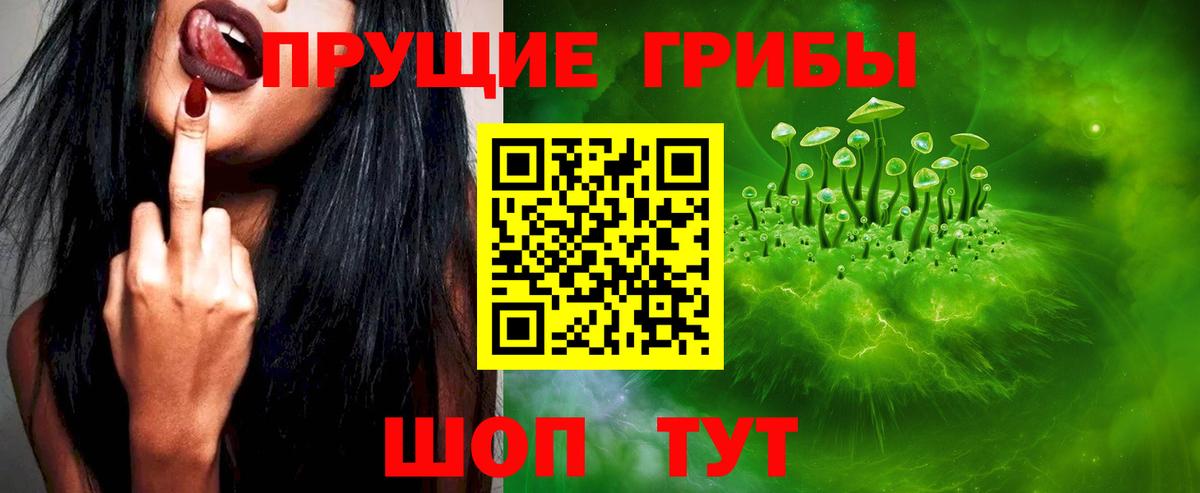 Галлюциногенные грибы Cubensis  Вход с VPN  купить  сайты  Саров  Галлюциногенные грибы Psilocybine cubensis 