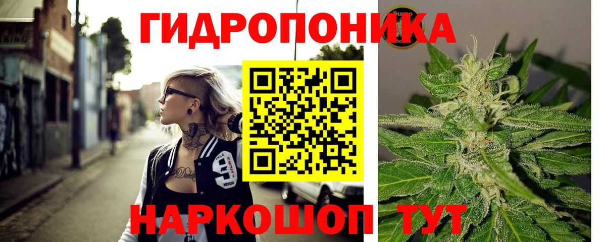 Марихуана Amnesia  Бошки Шишки White Widow  Каннабис White Widow  Саров  Вход с VPN 
